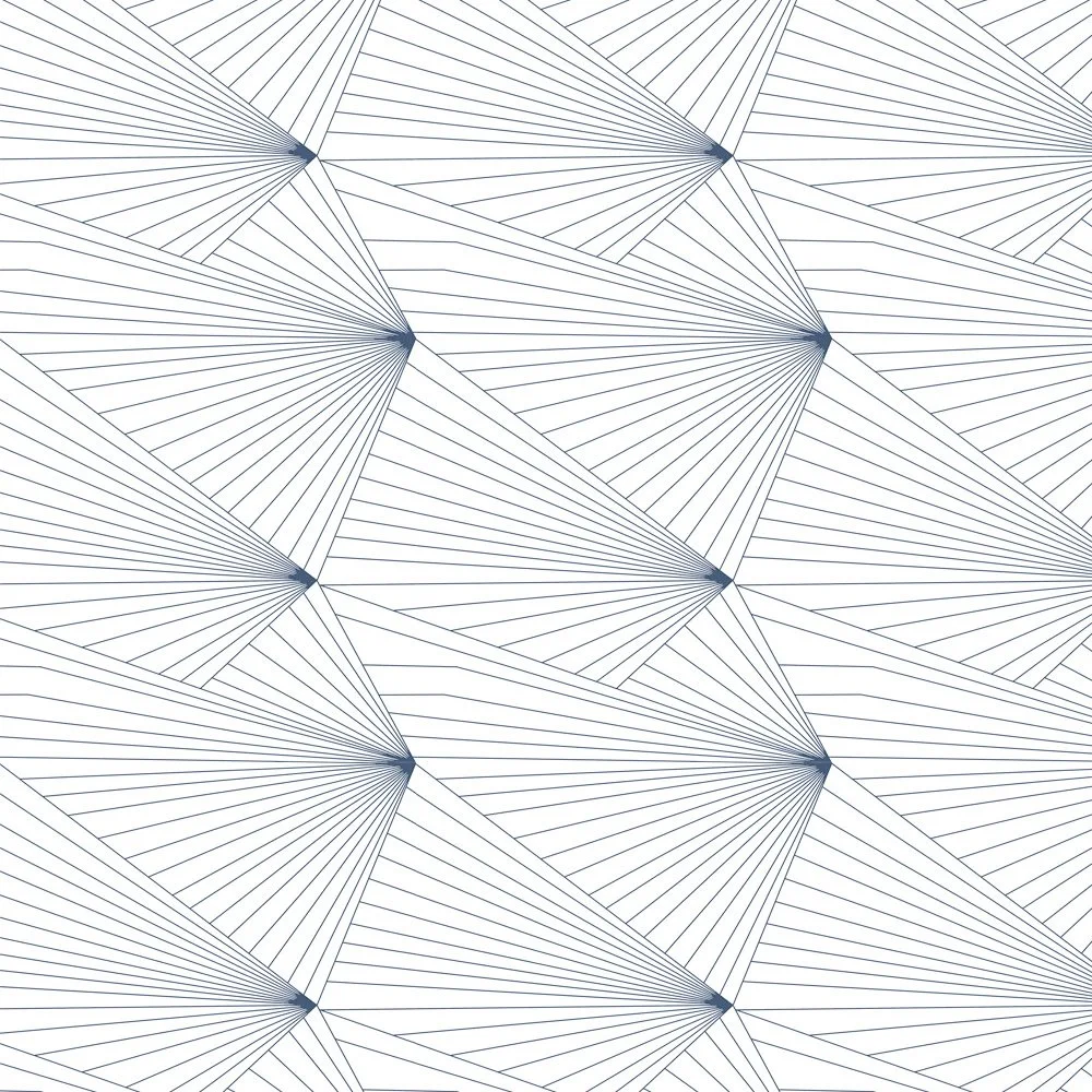 Navy & White