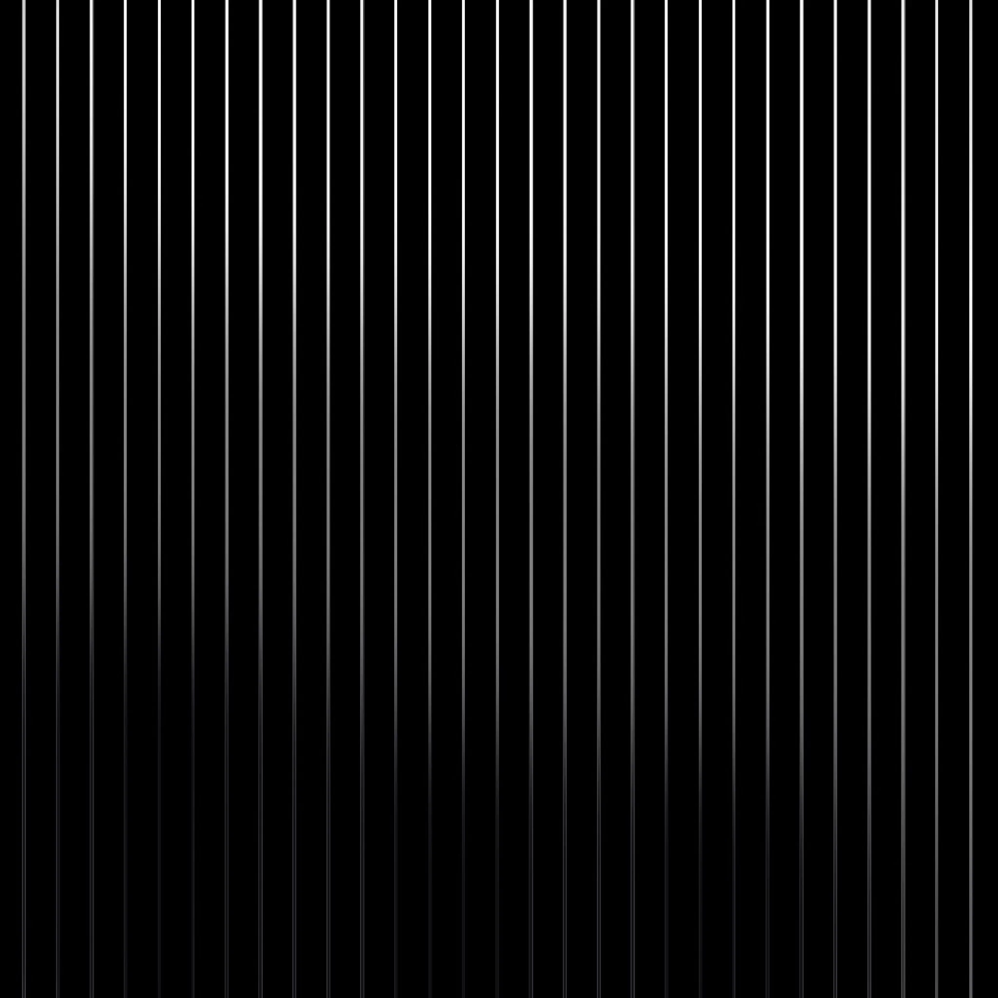 Silver & Black