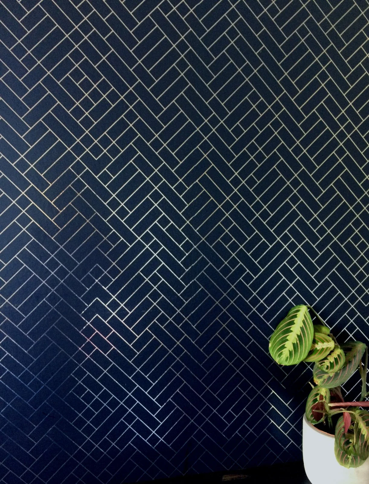 Navy Silver