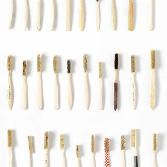 DRO-03 Toothbrushes Small