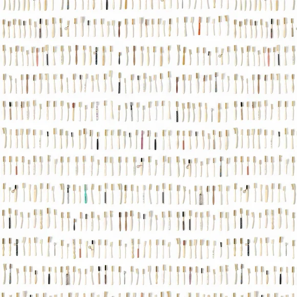 DRO-03 Toothbrushes Small