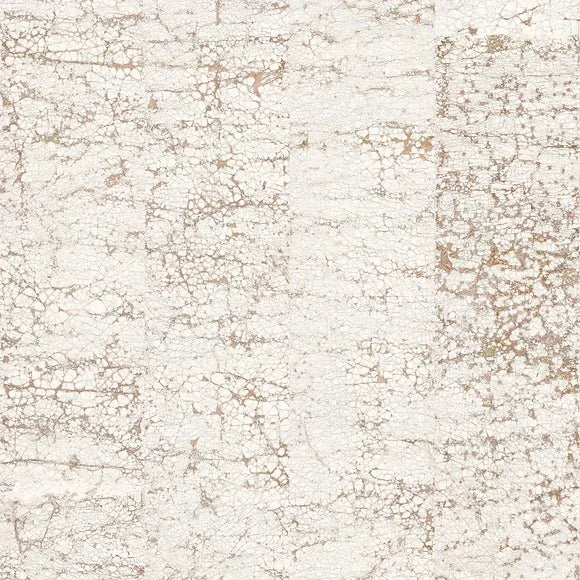 NCA-01 Crack White