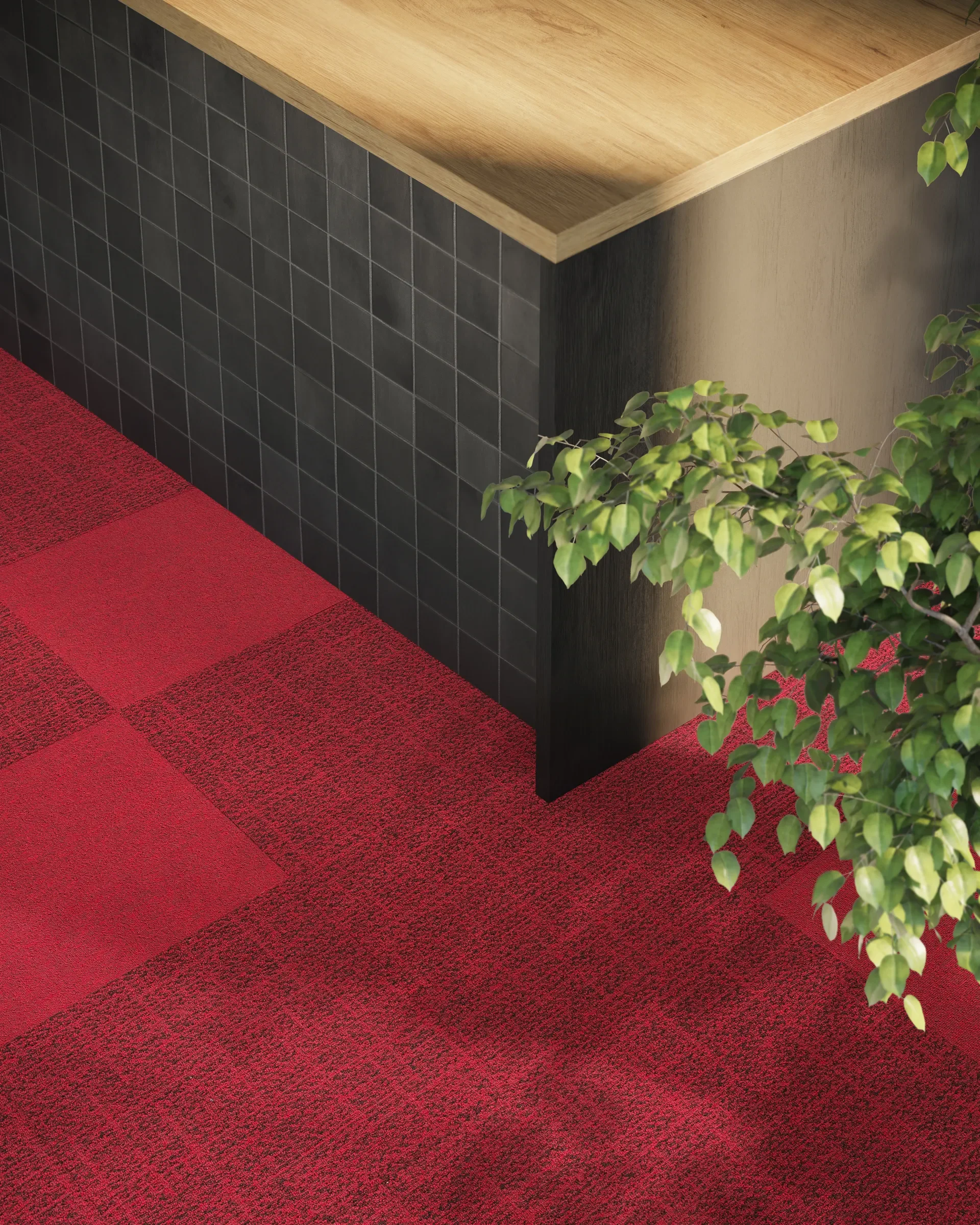 DSGN Tweed 340, First Forward 329_0.jpg.webp