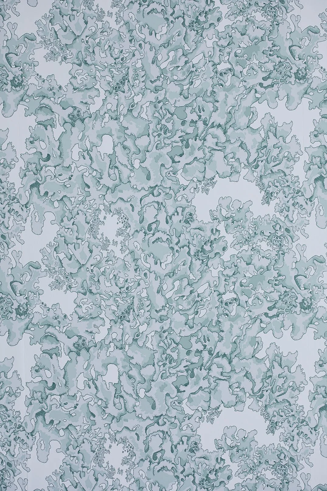 Lichen by Abigail Edwards