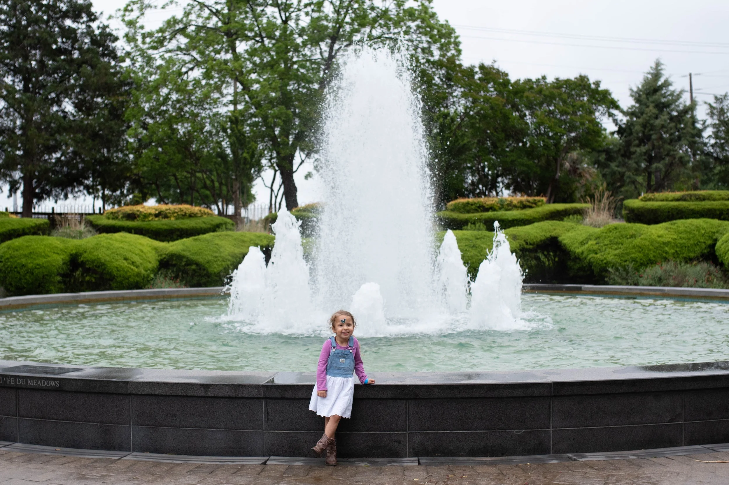 DSC_6519.jpg