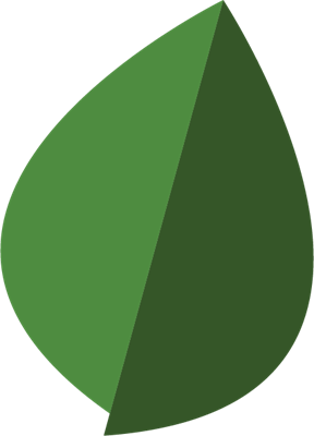 Leaf_fullcolor.png