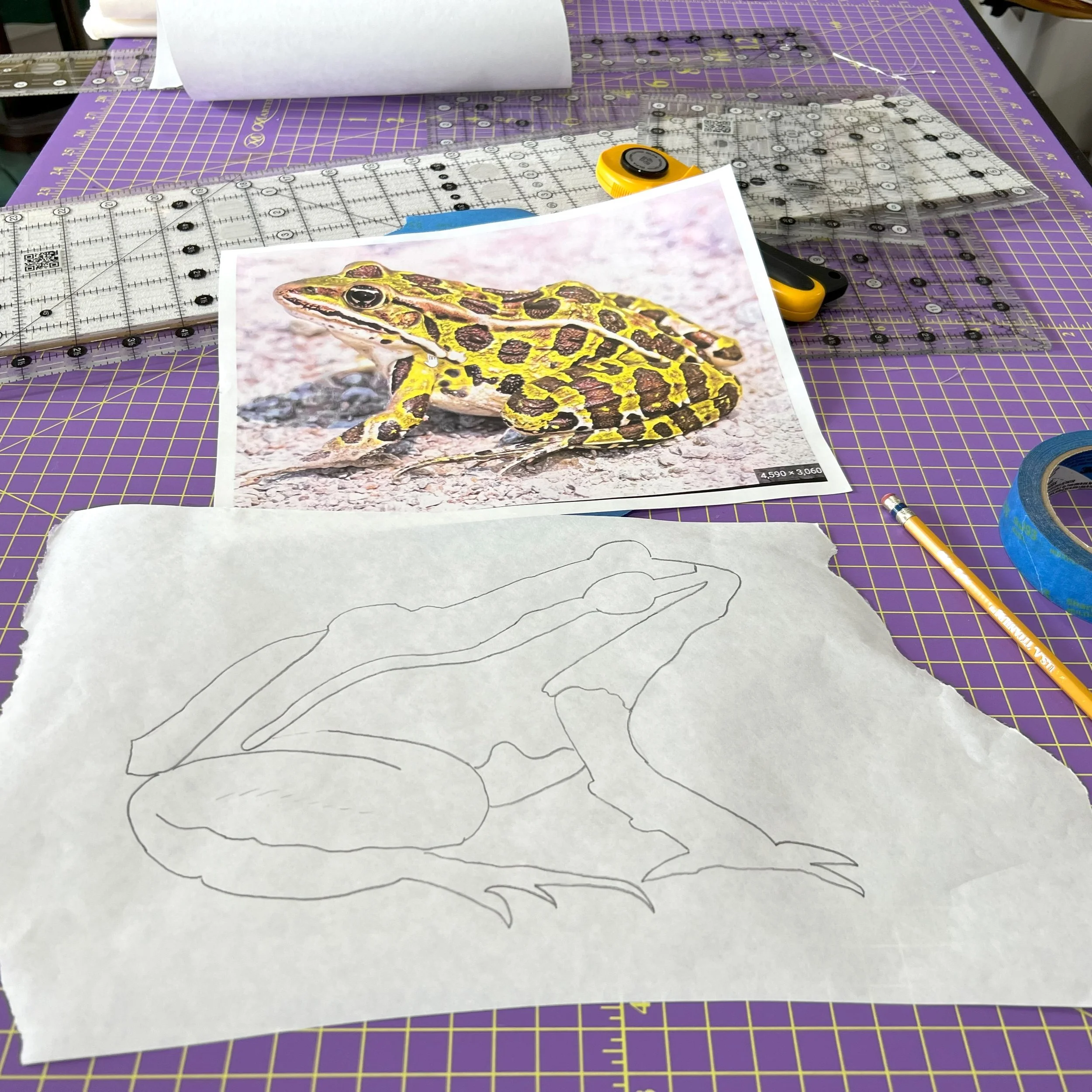 Pencil outline of a frog