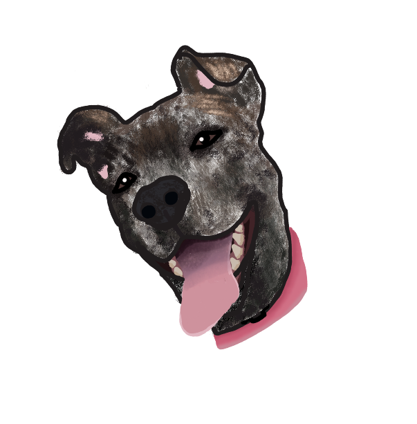 IMG_0045.png