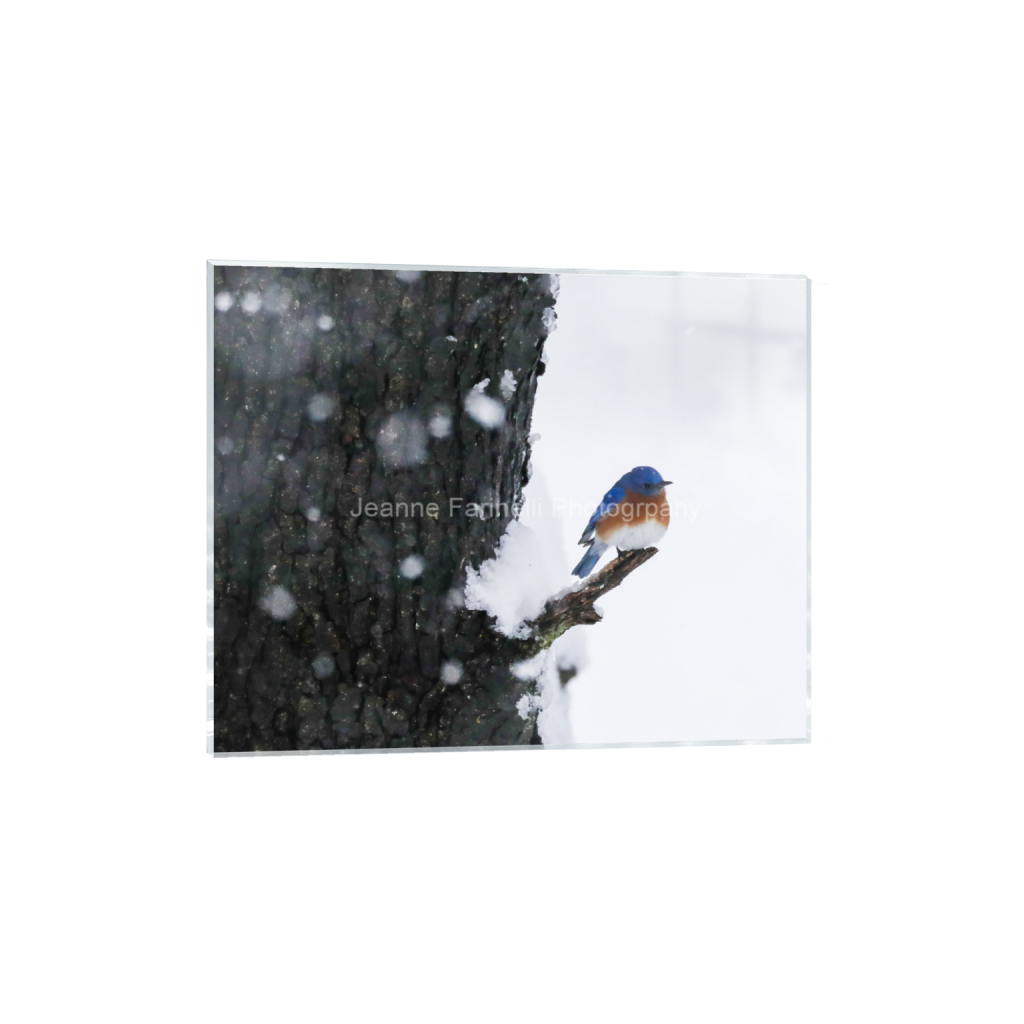 ptq_17_6_168_0_2601_2081_0_false_ffffff_0_0_cab7eb623c2f022e6af6f31b38b93f75.png