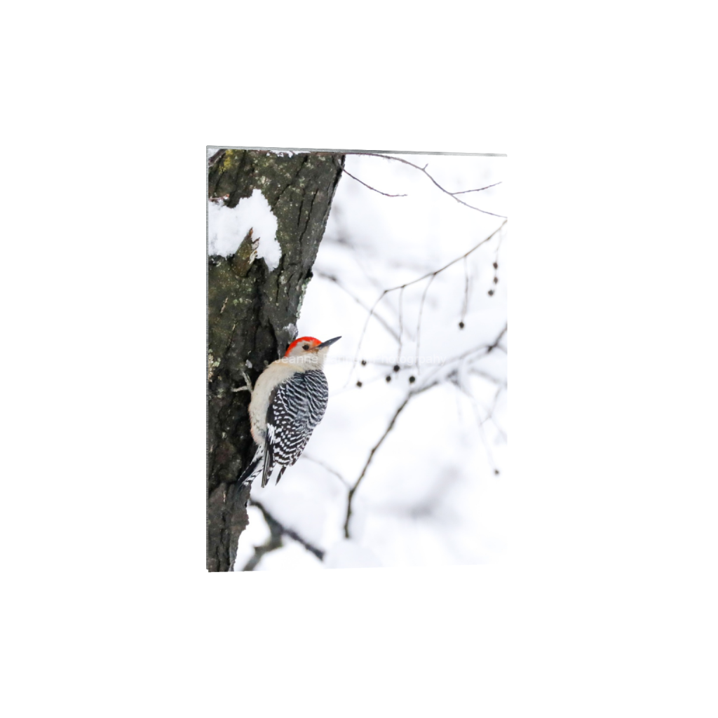 ptq_13_7_131_0_1645_2304_0_false_ffffff_0_0_cab7eb623c2f022e6af6f31b38b93f75.png