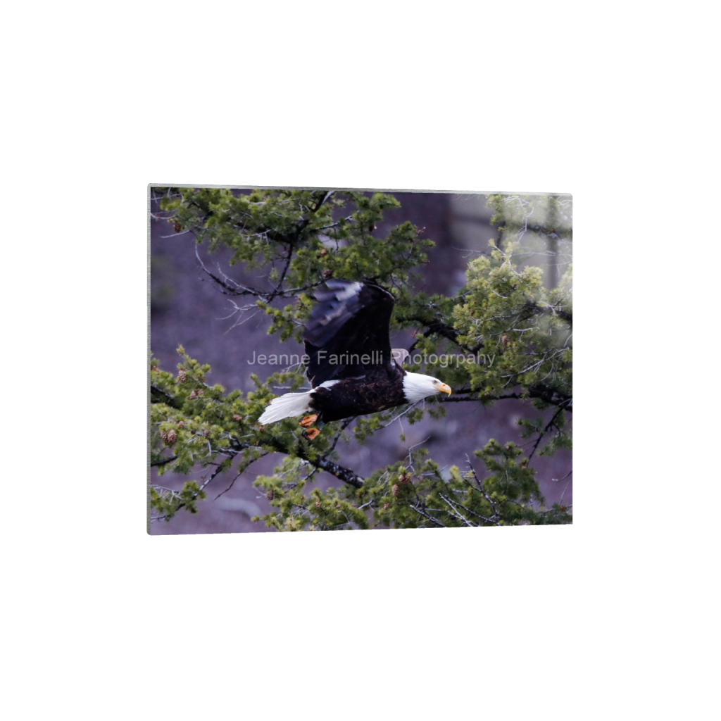 ptq_13_6_0_0_2430_1944_0_false_ffffff_0_0_cab7eb623c2f022e6af6f31b38b93f75.png