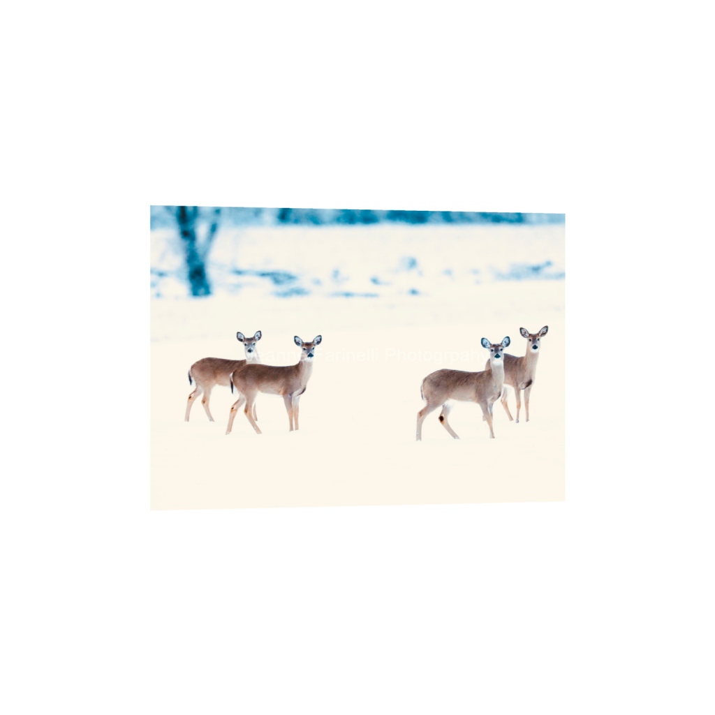 ptq_1_7_112_0_6272_4480_0_false_ffffff_0_0_cab7eb623c2f022e6af6f31b38b93f75.png