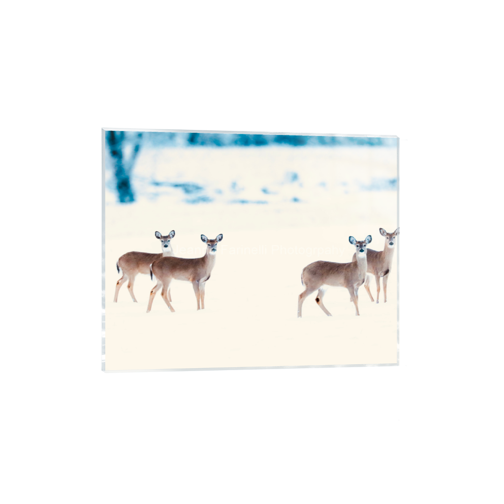 ptq_17_6_448_0_5600_4480_0_false_ffffff_0_0_cab7eb623c2f022e6af6f31b38b93f75.png