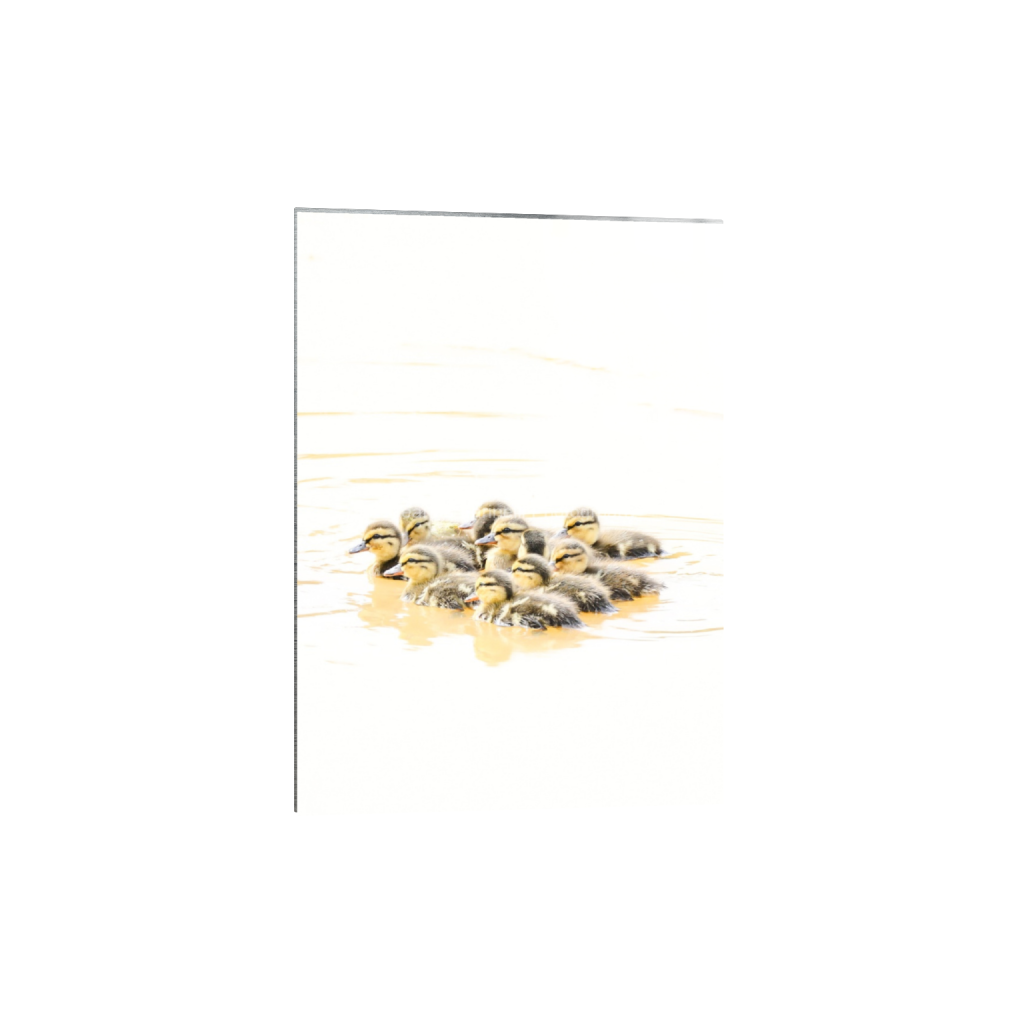 ptq_13_7_46_0_1884_2638_0_false_ffffff_0_0_cab7eb623c2f022e6af6f31b38b93f75.png