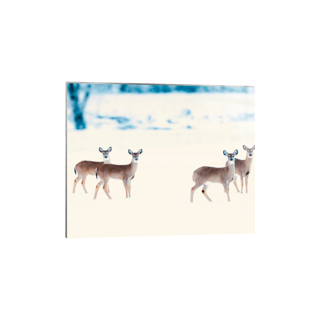 ptq_13_6_448_0_5600_4480_0_false_ffffff_0_0_cab7eb623c2f022e6af6f31b38b93f75.png