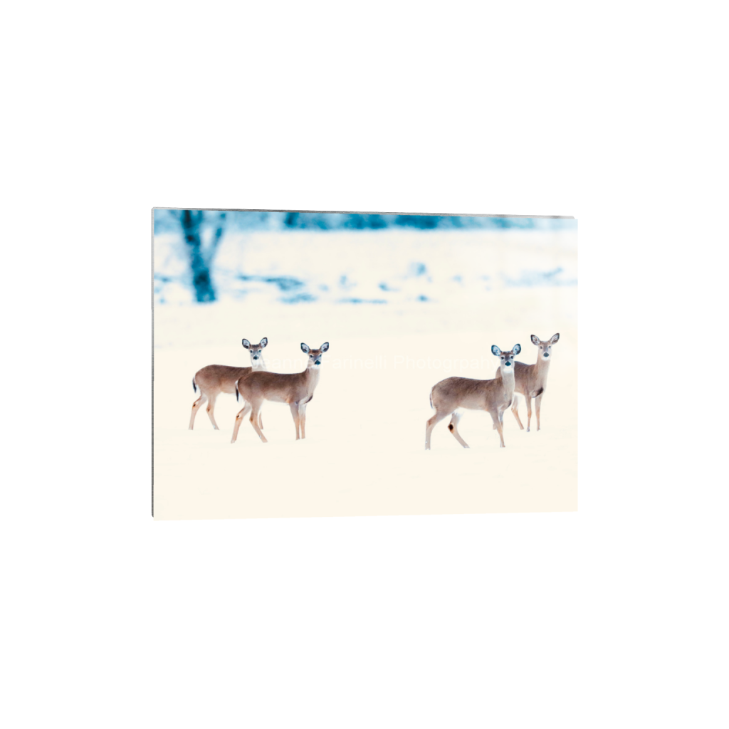 ptq_13_7_112_0_6272_4480_0_false_ffffff_0_0_cab7eb623c2f022e6af6f31b38b93f75.png