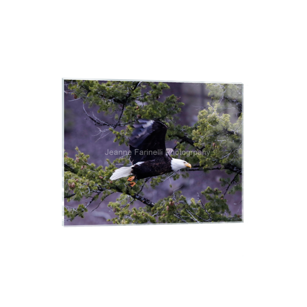 ptq_17_6_0_0_2430_1944_0_false_ffffff_0_0_cab7eb623c2f022e6af6f31b38b93f75.png