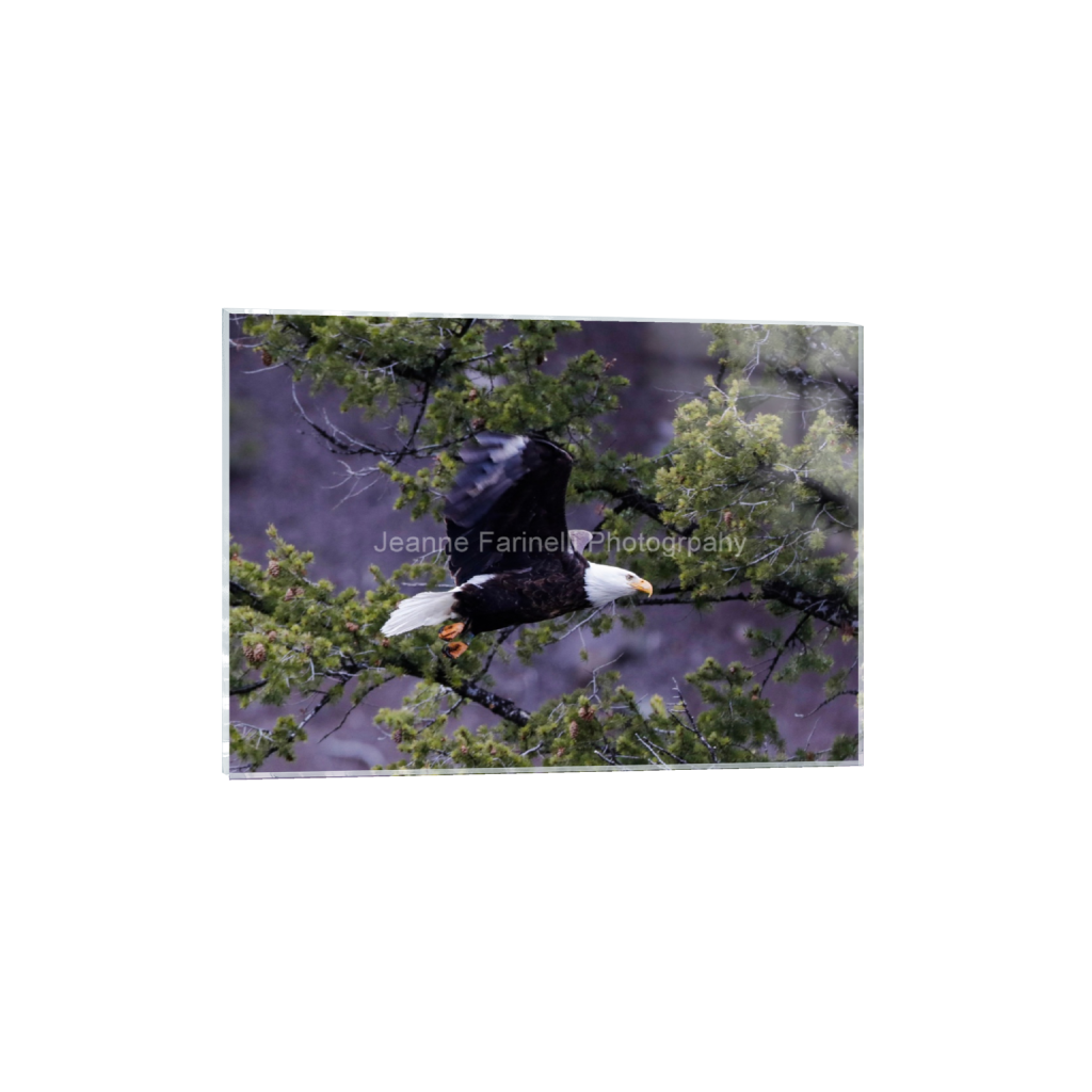 ptq_17_7_0_46_2592_1851_0_false_ffffff_0_0_cab7eb623c2f022e6af6f31b38b93f75.png
