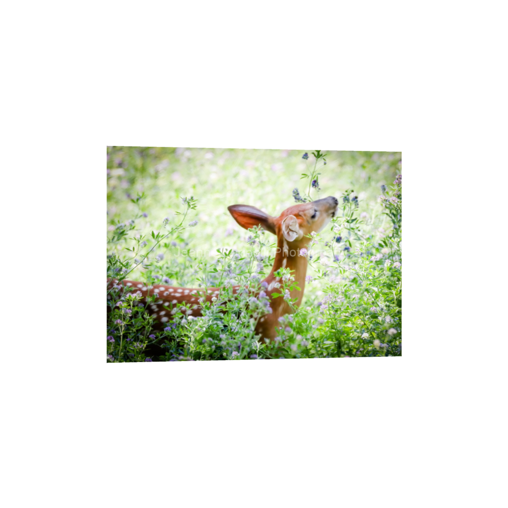 ptq_1_7_0_58_3255_2325_0_false_ffffff_0_0_cab7eb623c2f022e6af6f31b38b93f75.png