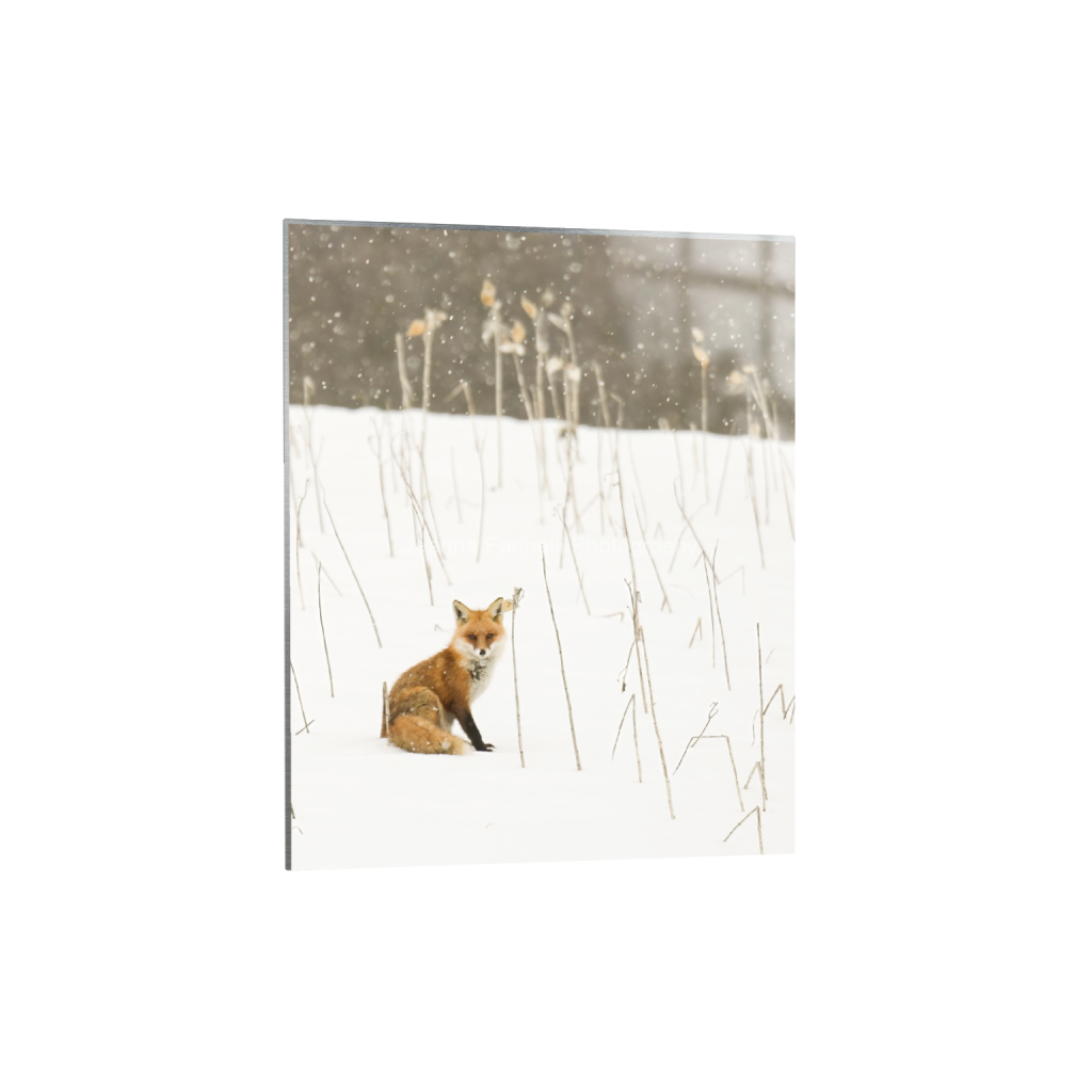 ptq_13_6_0_0_1648_2061_0_false_ffffff_0_0_cab7eb623c2f022e6af6f31b38b93f75.png