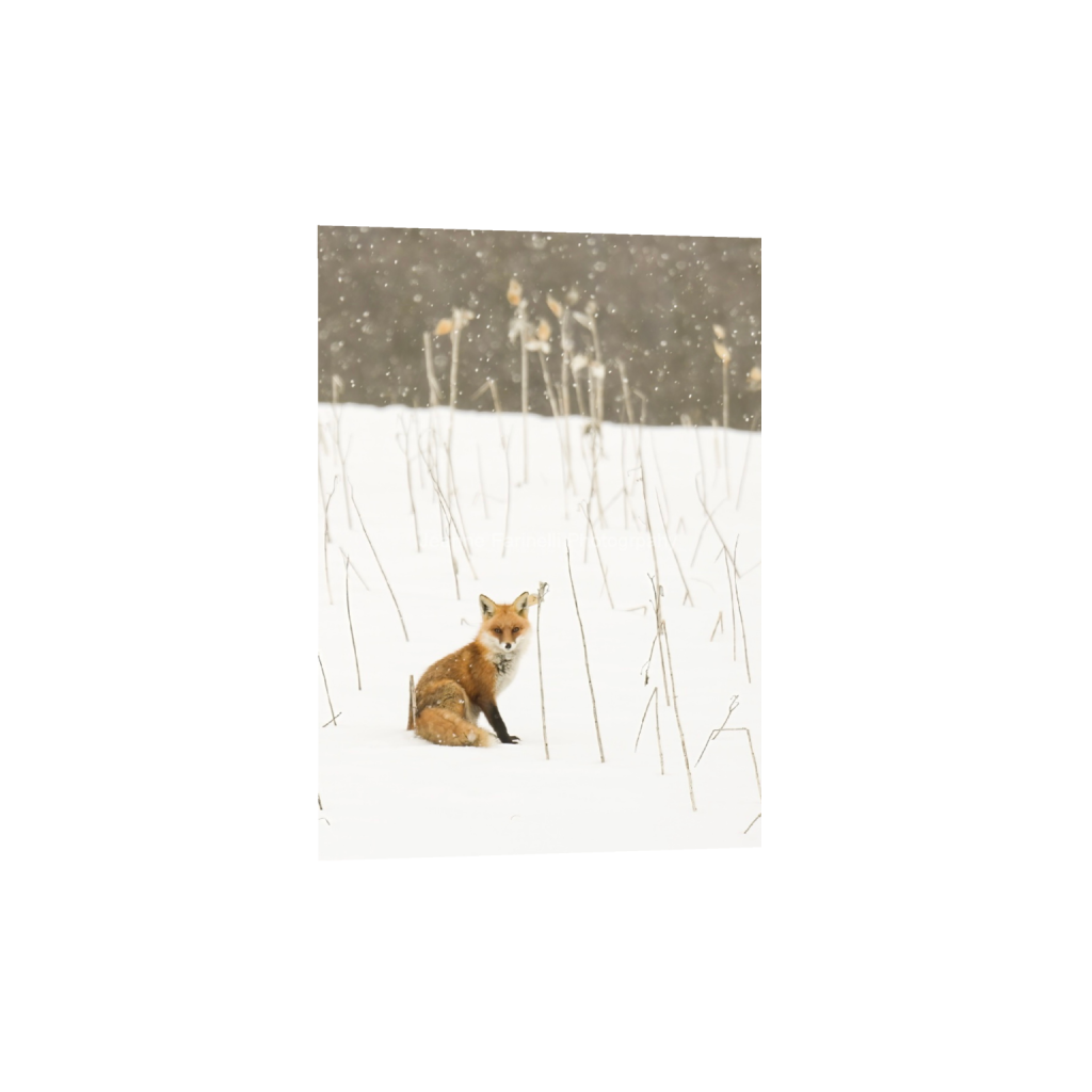 ptq_1_7_0_0_1472_2061_0_false_ffffff_0_0_cab7eb623c2f022e6af6f31b38b93f75.png