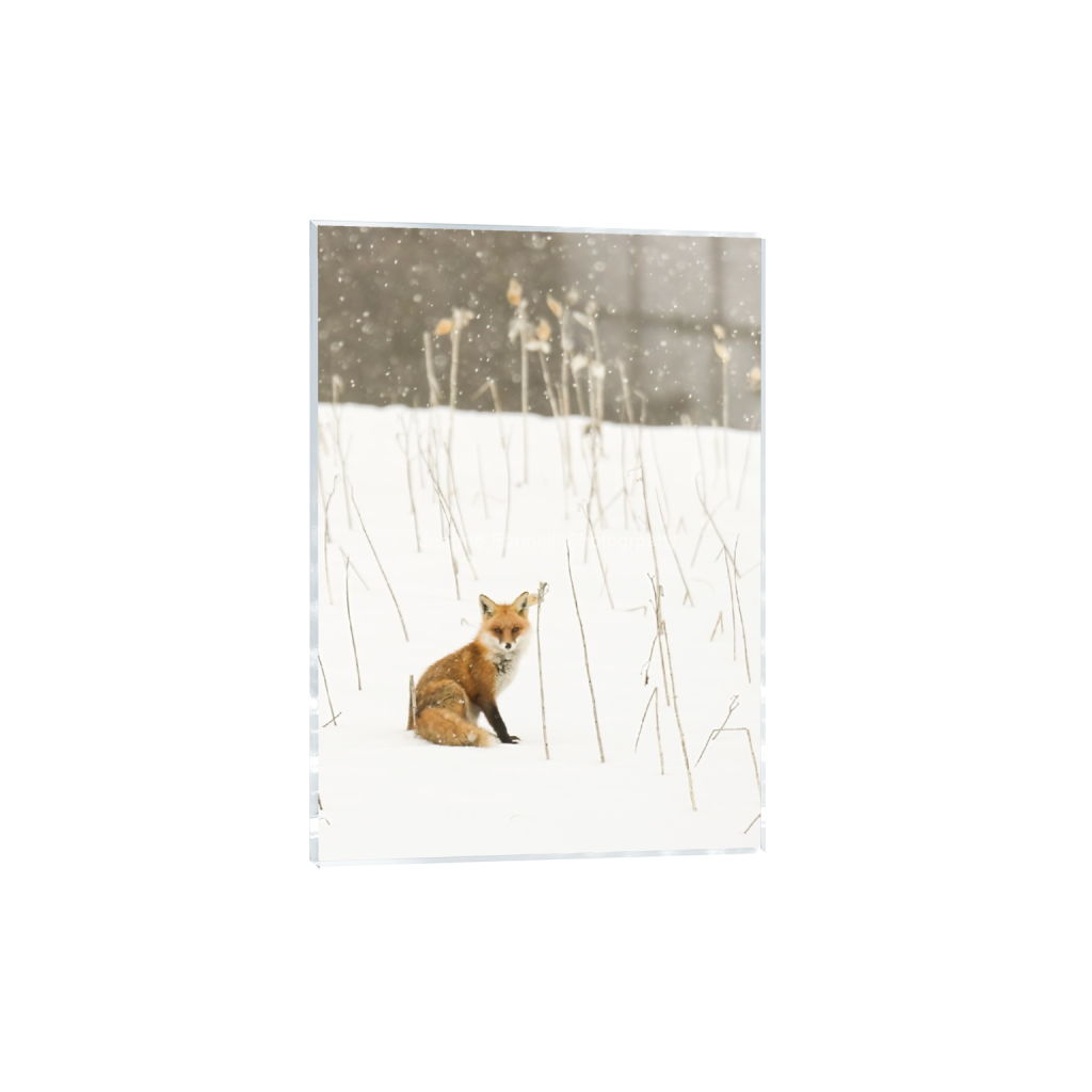 ptq_17_7_0_0_1472_2061_0_false_ffffff_0_0_cab7eb623c2f022e6af6f31b38b93f75.png