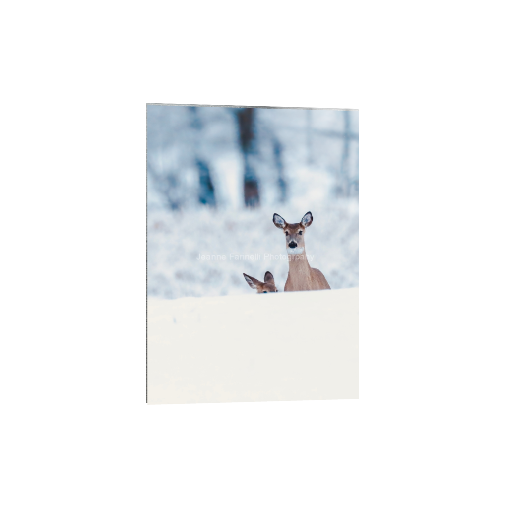 ptq_13_7_0_47_1179_1650_0_false_ffffff_0_0_cab7eb623c2f022e6af6f31b38b93f75.png