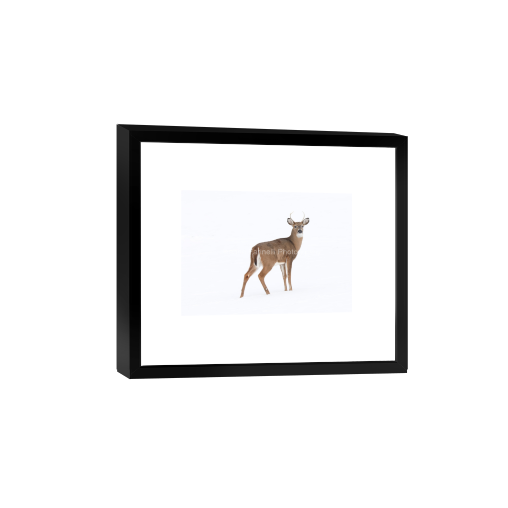 ptq_45_7_0_62_3492_2494_0_false_ffffff_0_0_cab7eb623c2f022e6af6f31b38b93f75.png