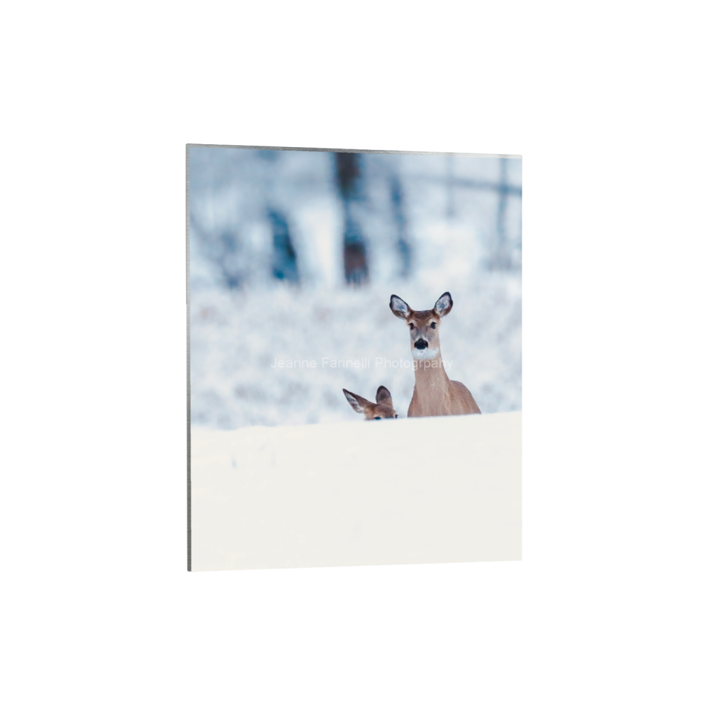 ptq_13_6_0_135_1179_1473_0_false_ffffff_0_0_cab7eb623c2f022e6af6f31b38b93f75.png