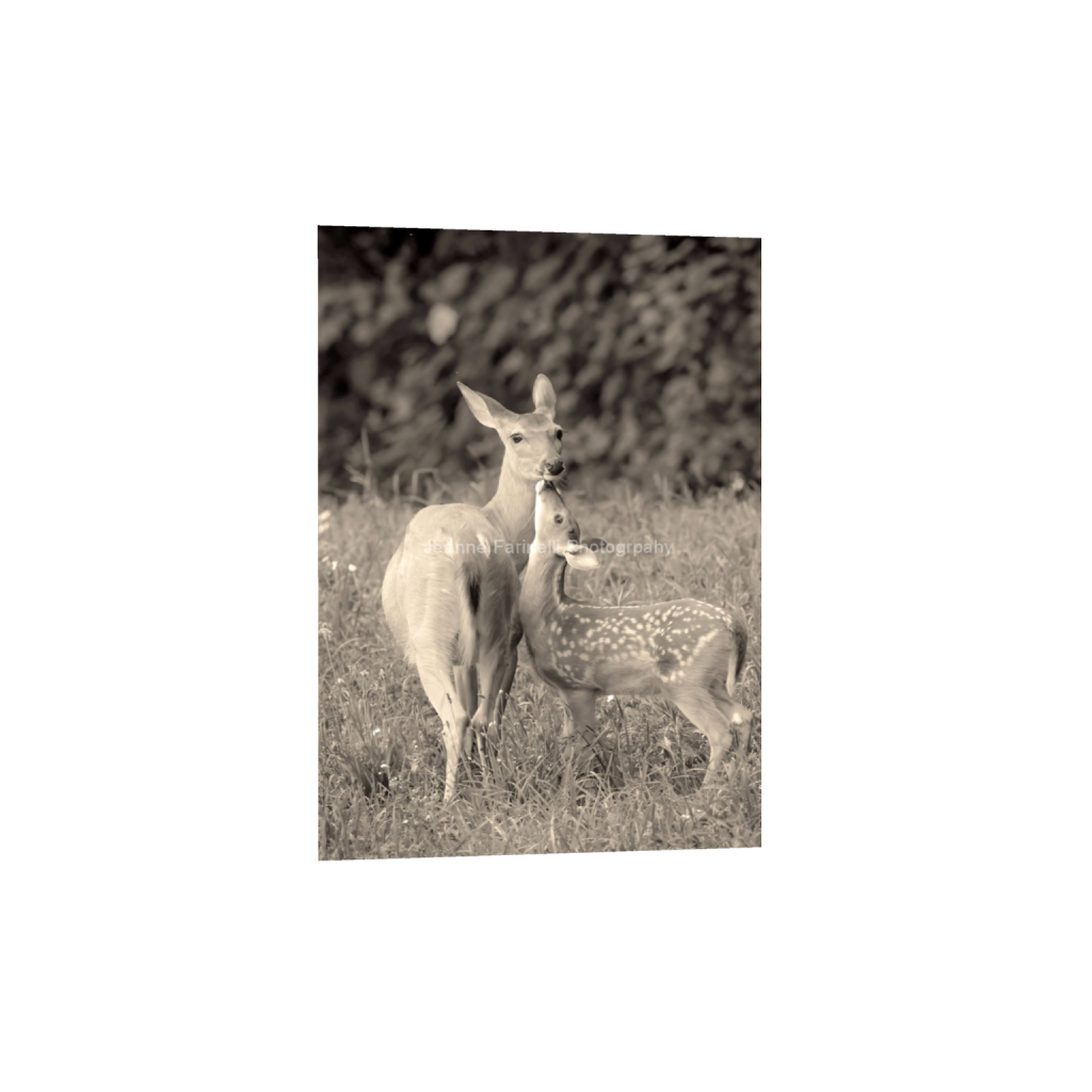 ptq_1_7_15_0_1109_1553_0_false_ffffff_0_0_cab7eb623c2f022e6af6f31b38b93f75.png