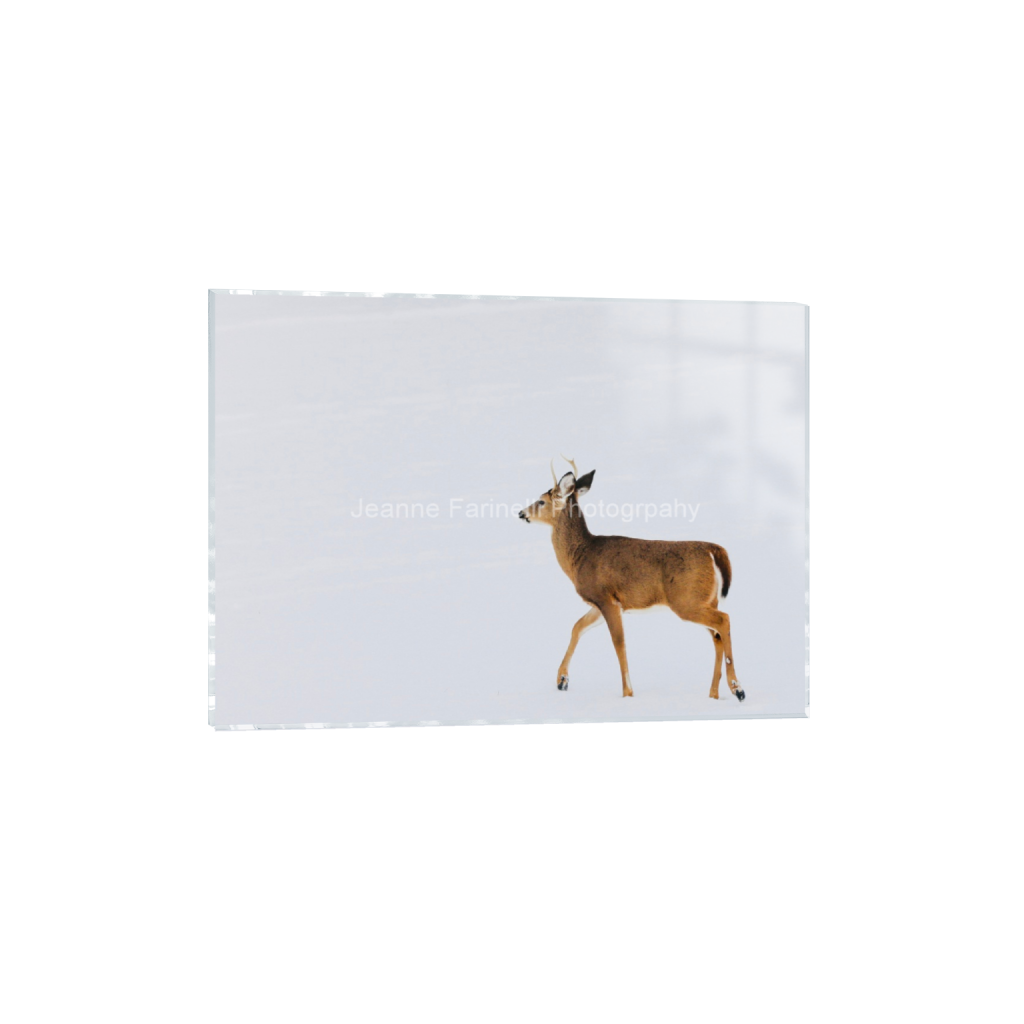 ptq_17_7_0_80_3445_2460_0_false_ffffff_0_0_cab7eb623c2f022e6af6f31b38b93f75.png