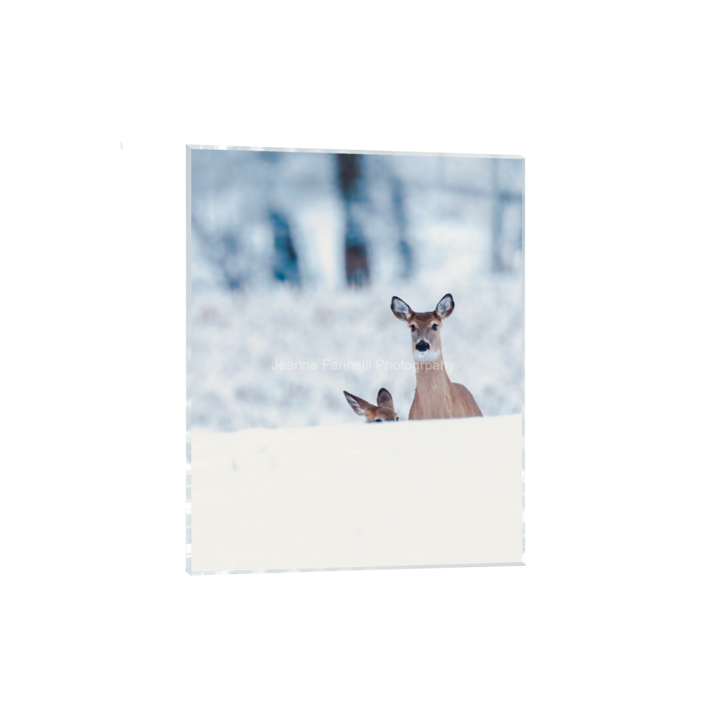ptq_17_6_0_135_1179_1473_0_false_ffffff_0_0_cab7eb623c2f022e6af6f31b38b93f75.png