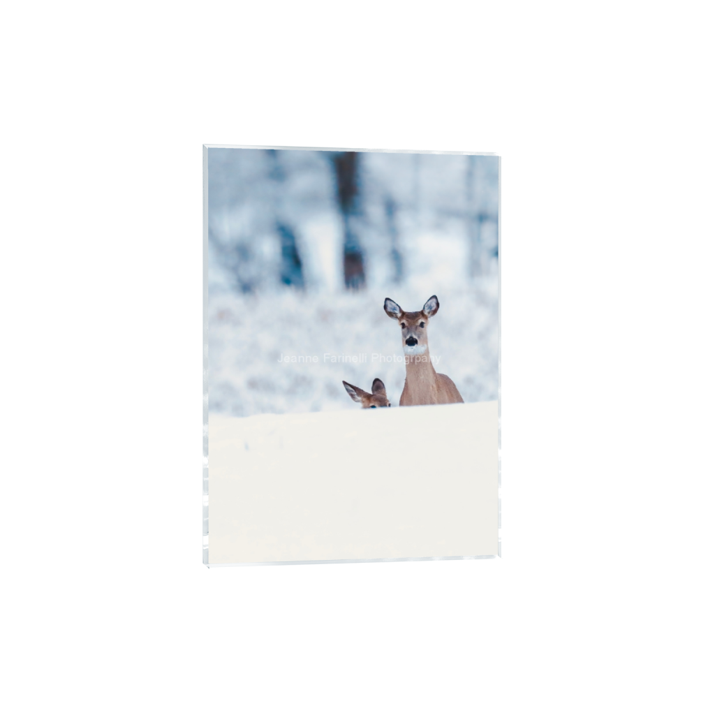 ptq_17_7_0_47_1179_1650_0_false_ffffff_0_0_cab7eb623c2f022e6af6f31b38b93f75.png