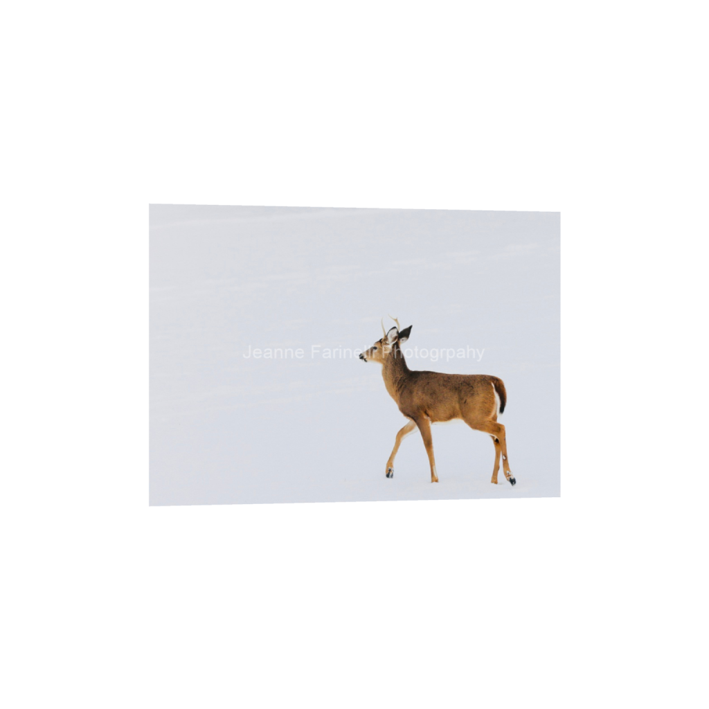 ptq_1_7_0_80_3445_2460_0_false_ffffff_0_0_cab7eb623c2f022e6af6f31b38b93f75.png