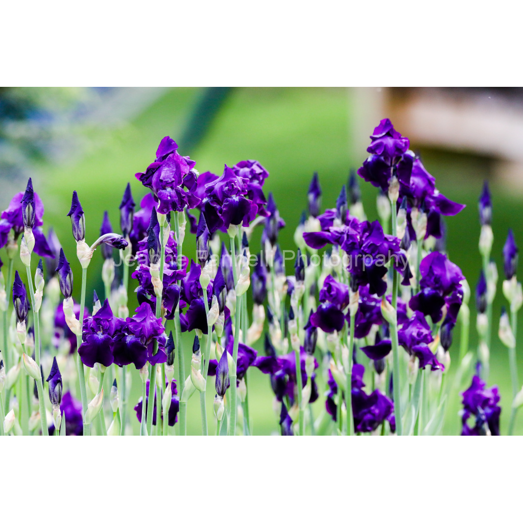 image_original_cab7eb623c2f022e6af6f31b38b93f75.png