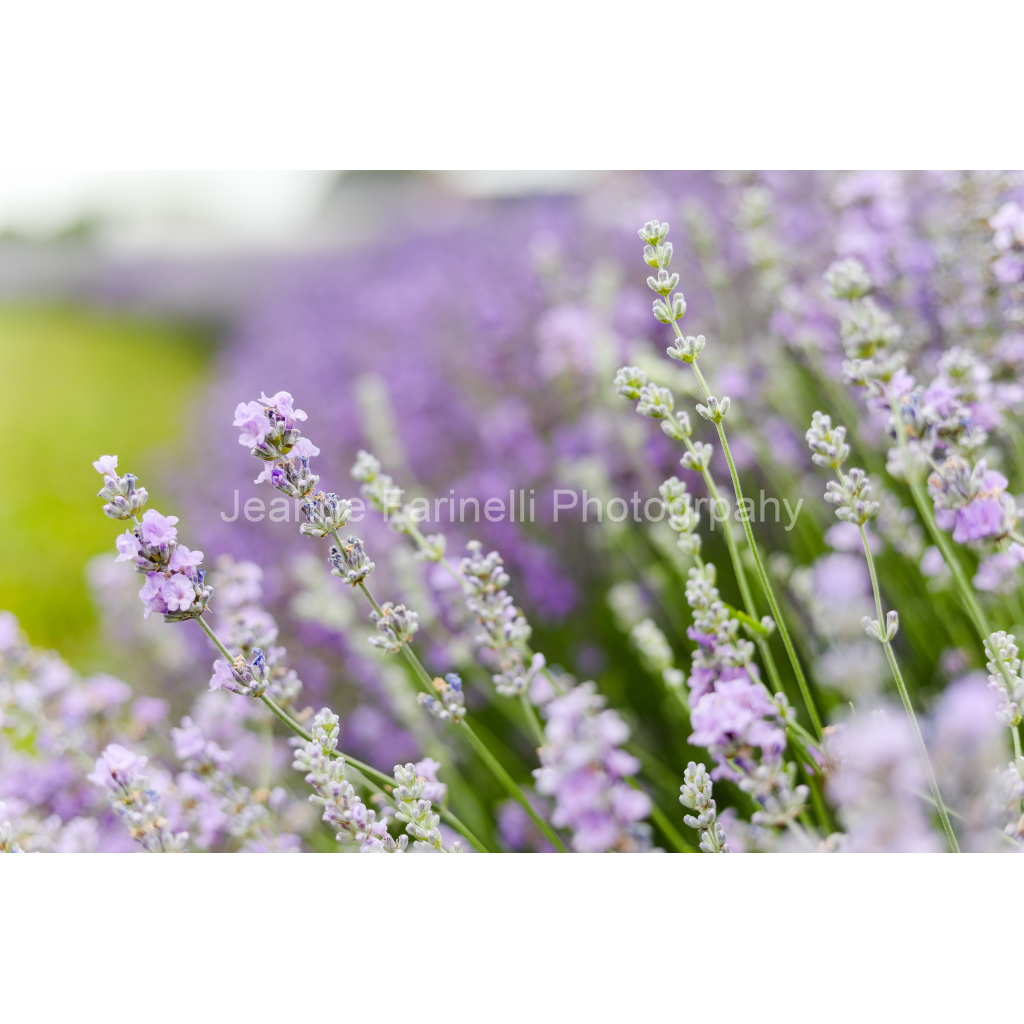 image_original_cab7eb623c2f022e6af6f31b38b93f75.png