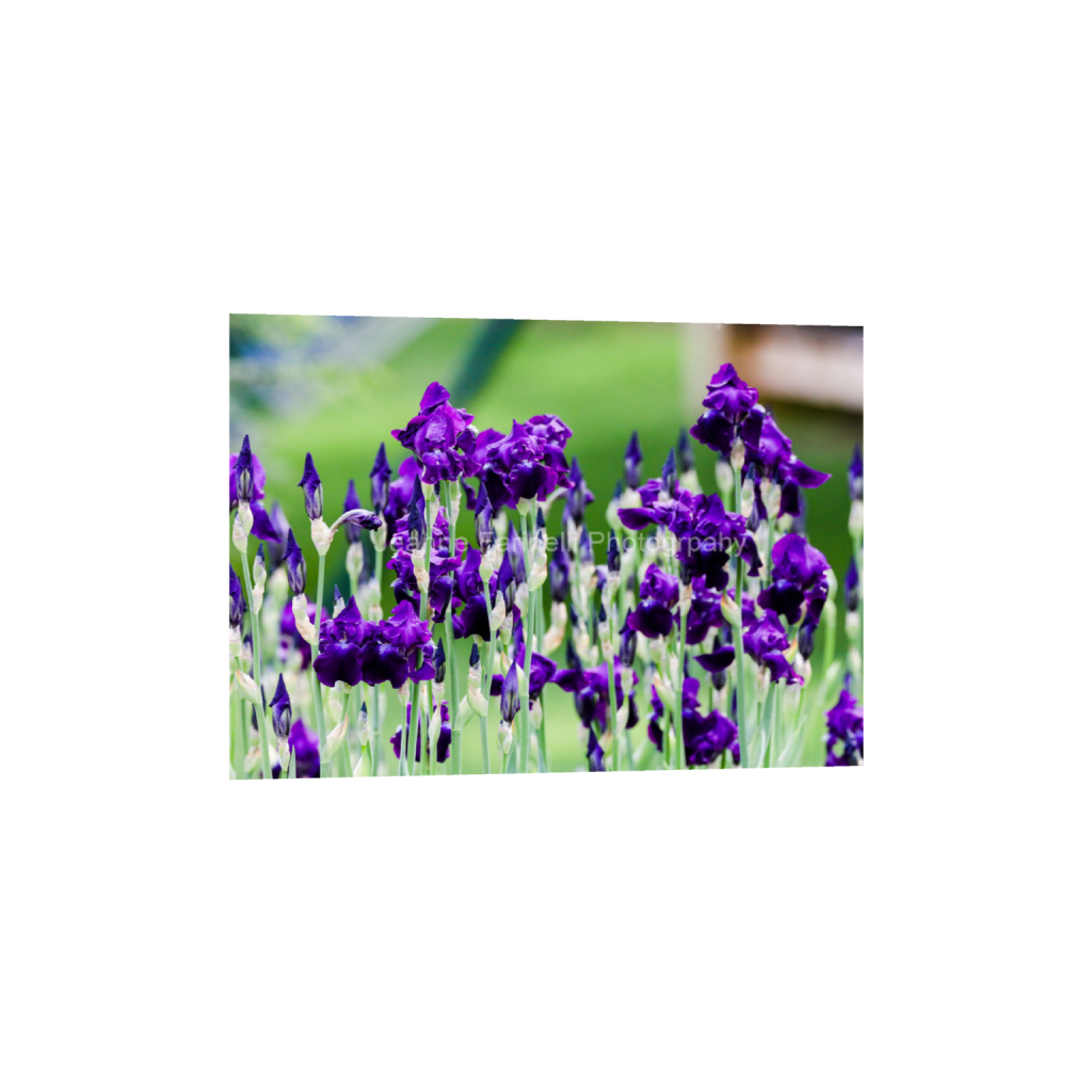 ptq_1_7_224_0_6272_4480_0_false_ffffff_0_0_cab7eb623c2f022e6af6f31b38b93f75.png