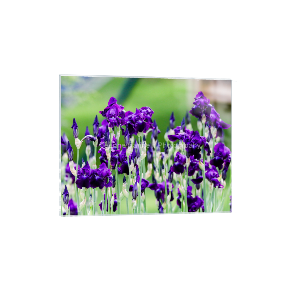ptq_17_6_560_0_5600_4480_0_false_ffffff_0_0_cab7eb623c2f022e6af6f31b38b93f75.png