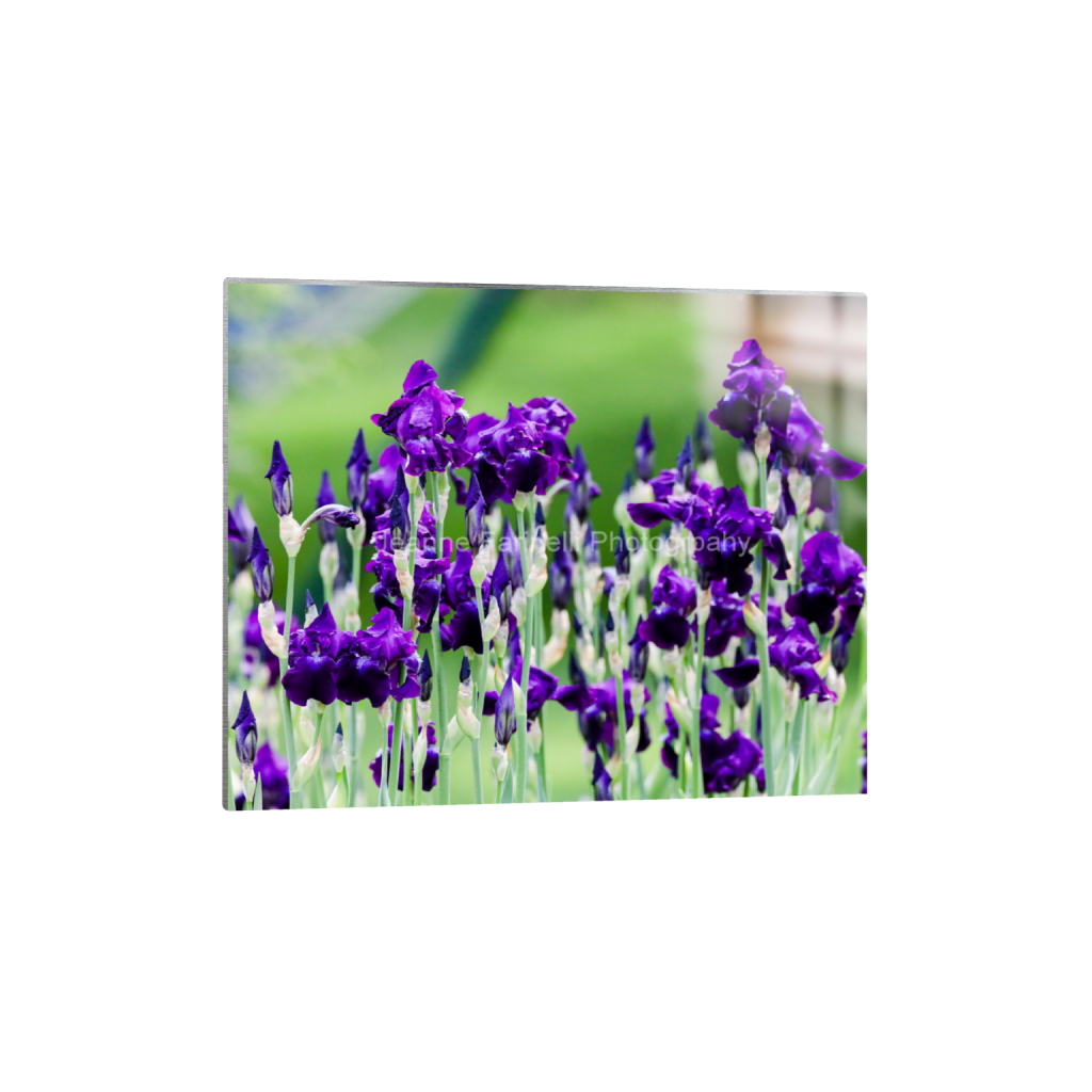 ptq_13_6_560_0_5600_4480_0_false_ffffff_0_0_cab7eb623c2f022e6af6f31b38b93f75.png
