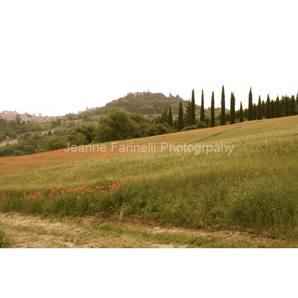 image_original_cab7eb623c2f022e6af6f31b38b93f75.png