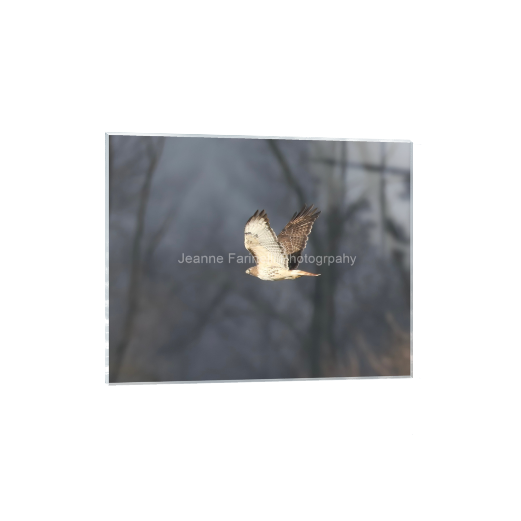 ptq_17_6_77_0_1242_994_0_false_ffffff_0_0_cab7eb623c2f022e6af6f31b38b93f75.png
