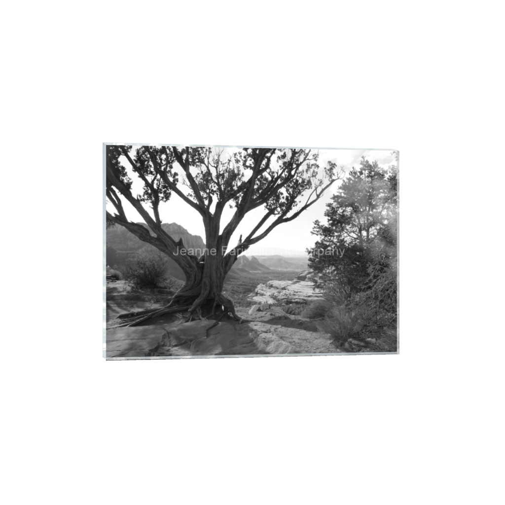 ptq_17_7_0_0_3628_2592_0_false_ffffff_0_0_cab7eb623c2f022e6af6f31b38b93f75.png