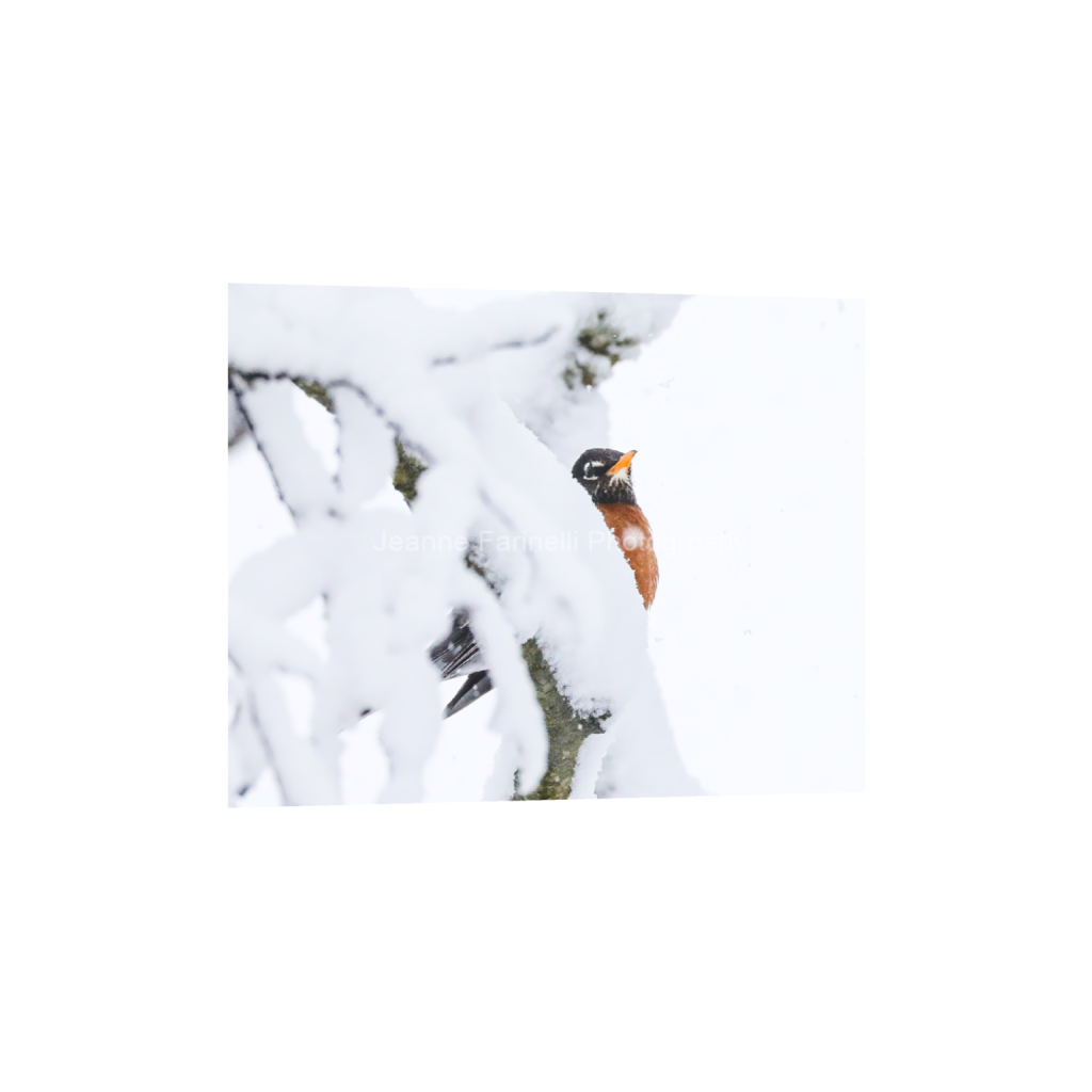 ptq_1_6_65_0_2103_1683_0_false_ffffff_0_0_cab7eb623c2f022e6af6f31b38b93f75.png