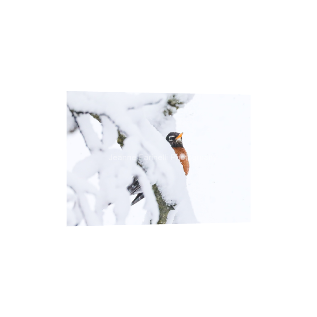 ptq_1_7_0_43_2234_1595_0_false_ffffff_0_0_cab7eb623c2f022e6af6f31b38b93f75.png