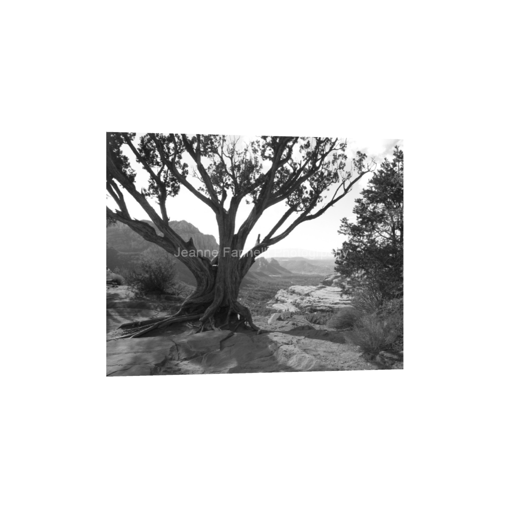 ptq_1_6_0_0_3240_2592_0_false_ffffff_0_0_cab7eb623c2f022e6af6f31b38b93f75.png