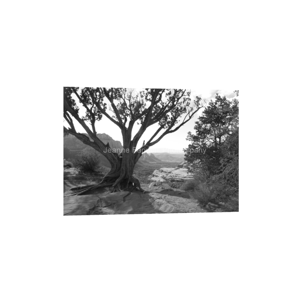 ptq_1_7_0_0_3628_2592_0_false_ffffff_0_0_cab7eb623c2f022e6af6f31b38b93f75.png