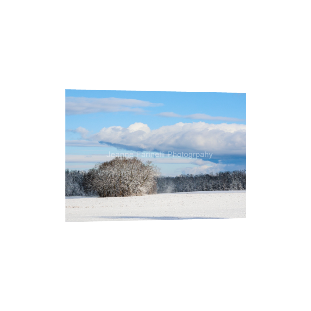 ptq_1_7_0_60_3360_2400_0_false_ffffff_0_0_cab7eb623c2f022e6af6f31b38b93f75.png