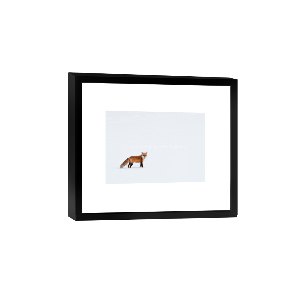 ptq_45_7_0_0_3383_2417_0_false_ffffff_0_0_cab7eb623c2f022e6af6f31b38b93f75.png