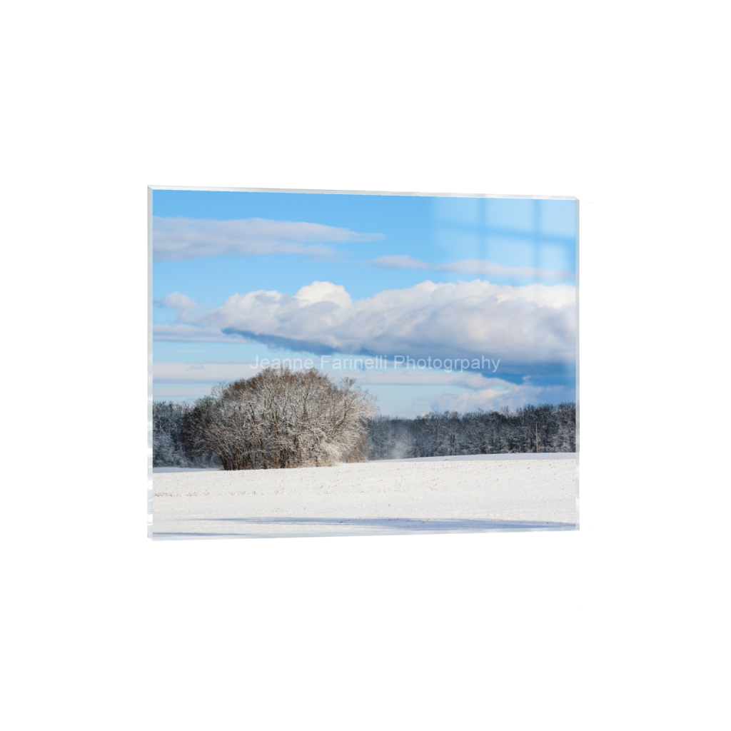 ptq_17_6_105_0_3150_2520_0_false_ffffff_0_0_cab7eb623c2f022e6af6f31b38b93f75.png
