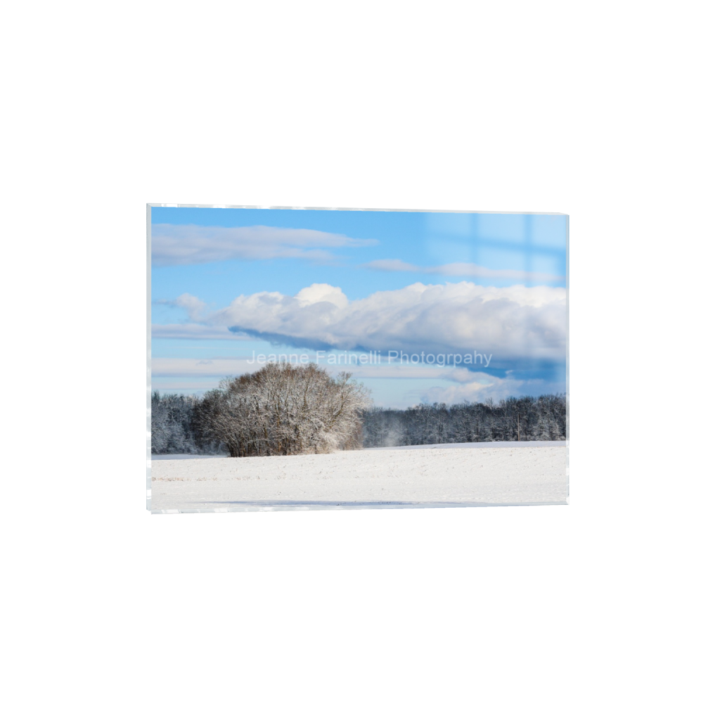 ptq_17_7_0_60_3360_2400_0_false_ffffff_0_0_cab7eb623c2f022e6af6f31b38b93f75.png